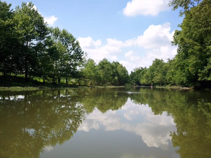 Green River in Central City